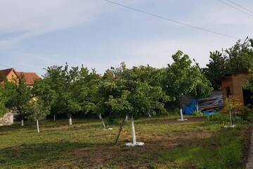 Фото номера Дом с 4 спальнями Дома для отпуска Vila de lux г. Dumbrăviţa 52